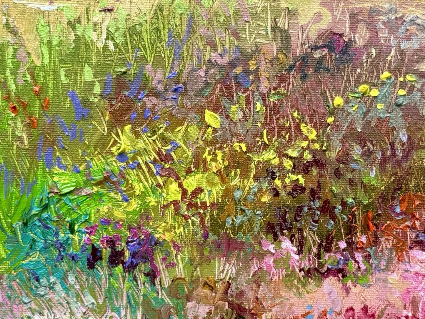 Oil painting ORIGINAL art Windflower field Landscape Floral Flowers 16x20”