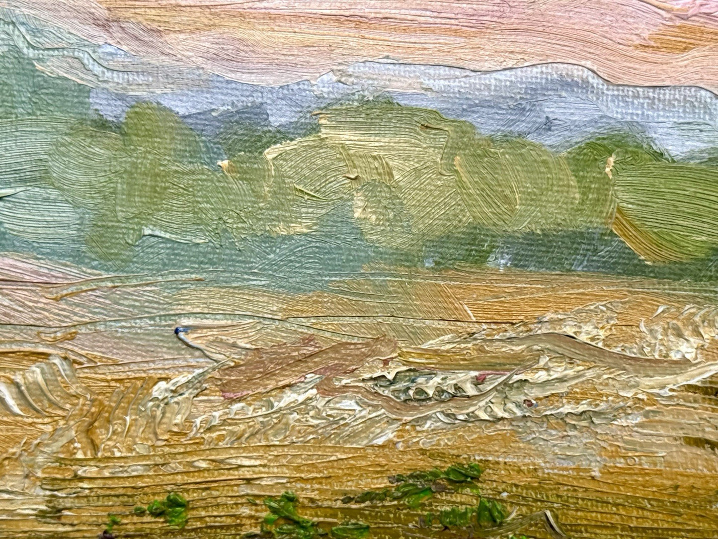 Oil painting ORIGINAL art Windflower field Landscape Floral Flowers 16x20”