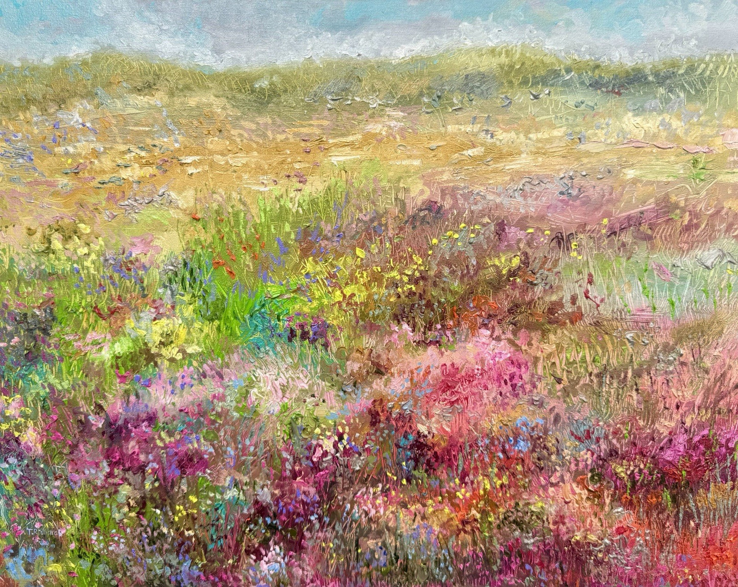 Oil painting ORIGINAL art Windflower field Landscape Floral Flowers 16x20”