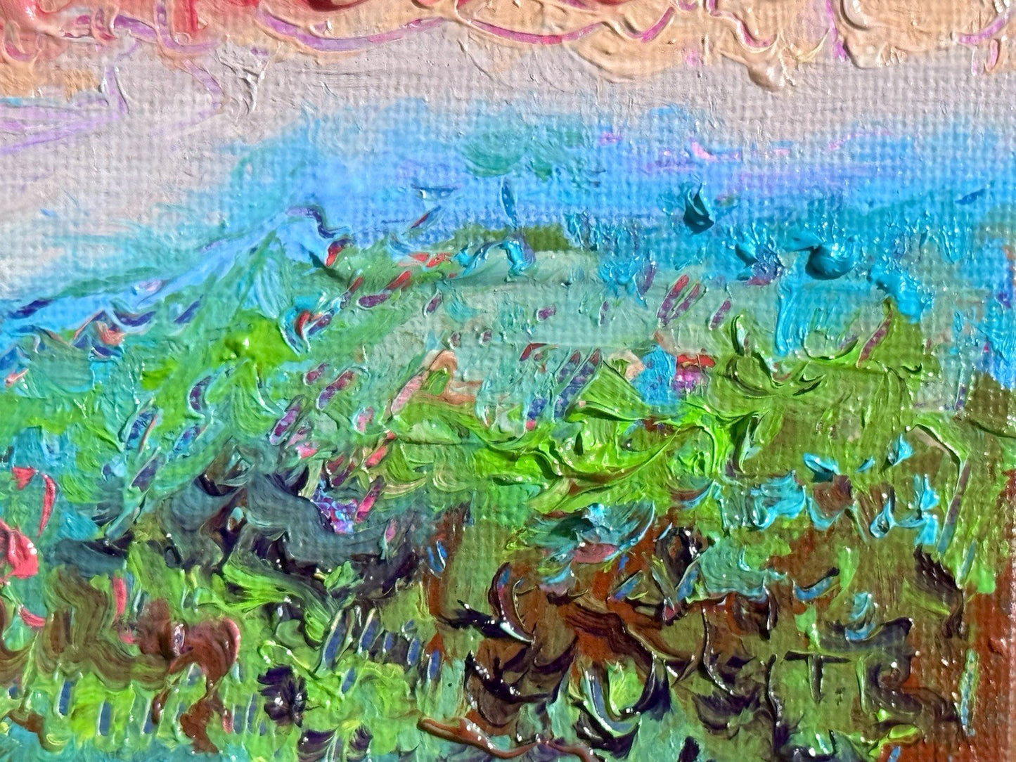 Oil painting ORIGINAL art Landscape sunset Sky Cloud wildflower field Floral 6x6