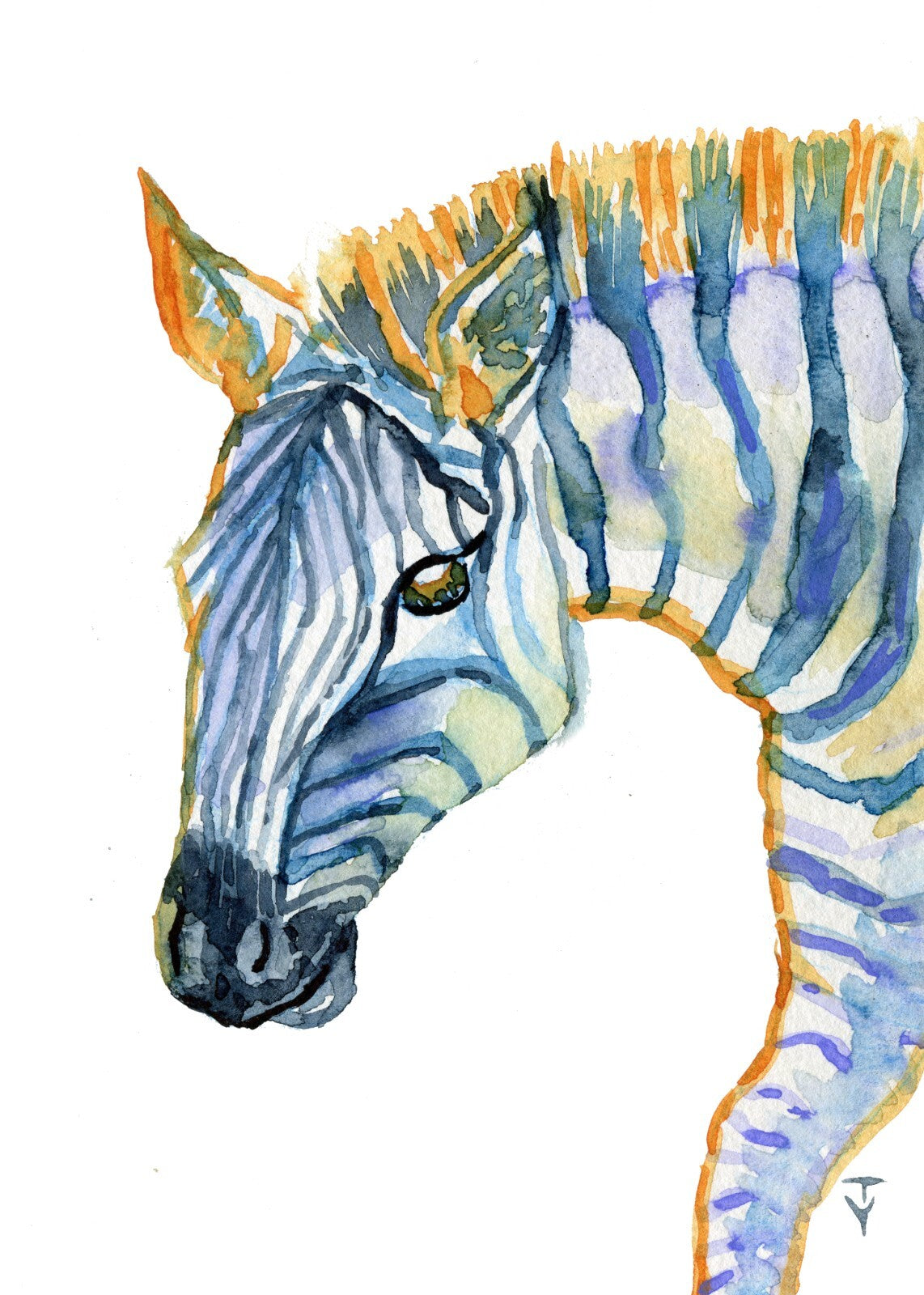 Painting WATERCOLOR ORIGINAL Art Zebra Artwork animal wall art 5x7"