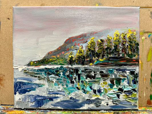 Oil painting ORIGINAL art Moody seascape morning Lake forest landscape 8x10"