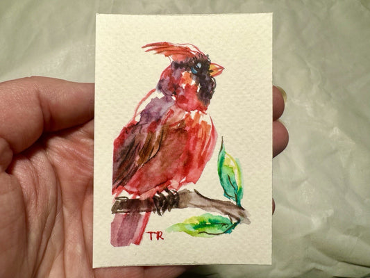 ACEO Watercolor Red Cardinal Bird ORIGINAL Art ATC Painting Miniature 2.5x3.5"