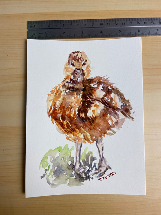 ORIGINAL Art Watercolor Painting Duckling Bird Duck Wall Art 6x8"