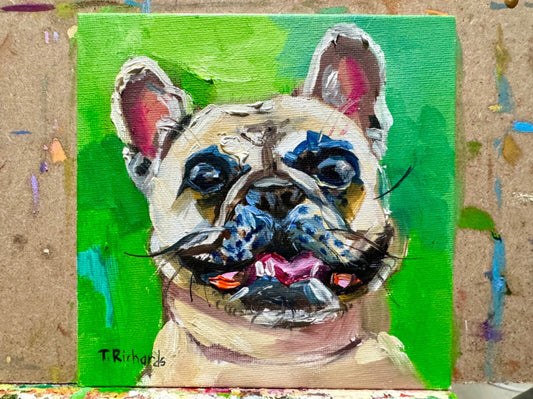 ORIGINAL art oil painting French bulldog dog portrait Pet animal puppy 6x6"