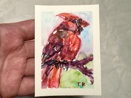 ACEO Watercolor Red Cardinal Bird ORIGINAL Art ATC Painting Miniature 2.5x3.5"