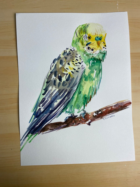 ORIGINAL art watercolor painting Parakeet parrot bird pet artwork 9x12”