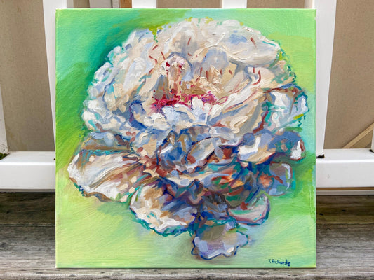 Oil painting ORIGINAL art White peony Festiva Maxima Flower floral artwork 14x14