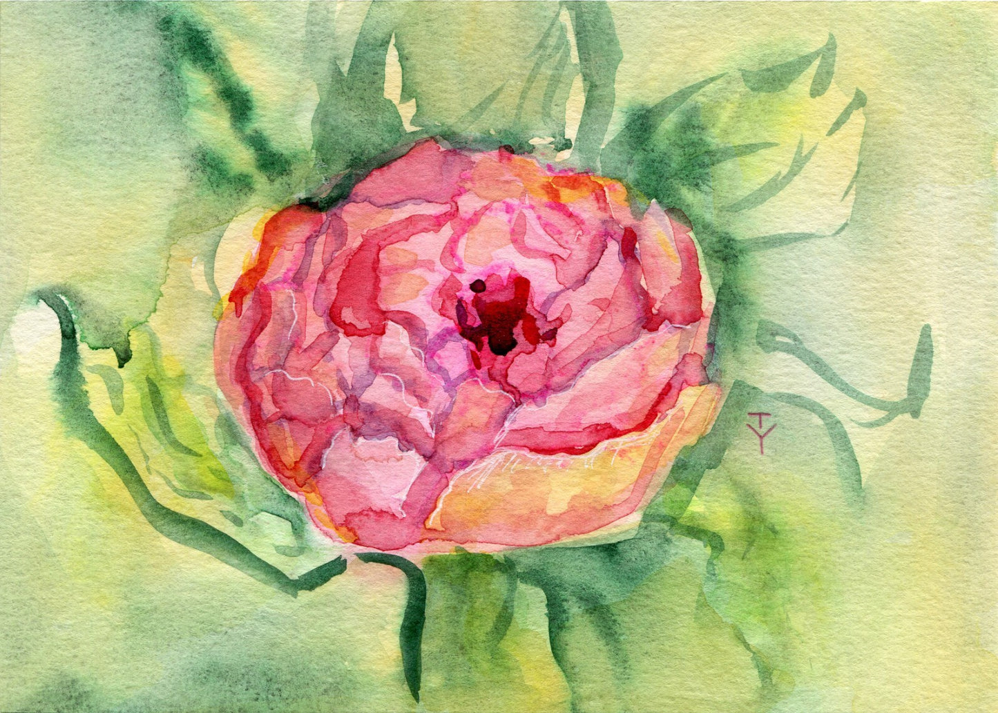 Watercolor painting ORIGINAL art Peony wall art Flower floral peonies 5x7"