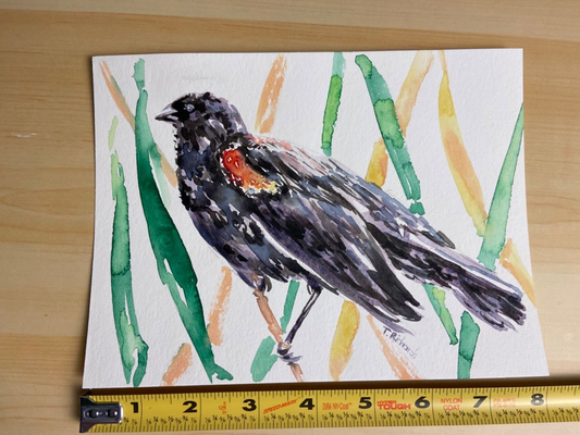 Watercolor Painting ORIGINAL Art Red-winged blackbird Bird Wall Art 6x8"