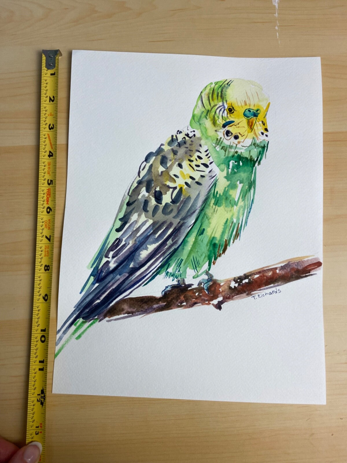 ORIGINAL art watercolor painting Parakeet parrot bird pet artwork 9x12”
