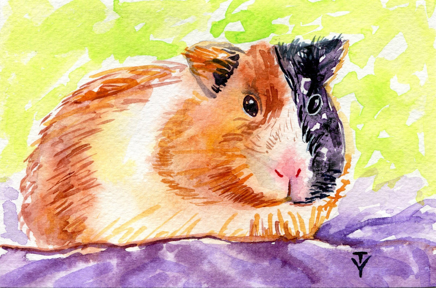 WATERCOLOR Painting ORIGINAL Art Guinea Pig Animal Pet Artwork Wall Art 4x6"