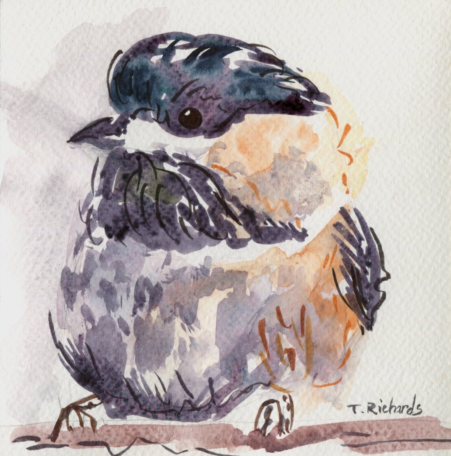 Chickadee ORIGINAL art Watercolor painting Bird wildlife artwork Signed 6x6"