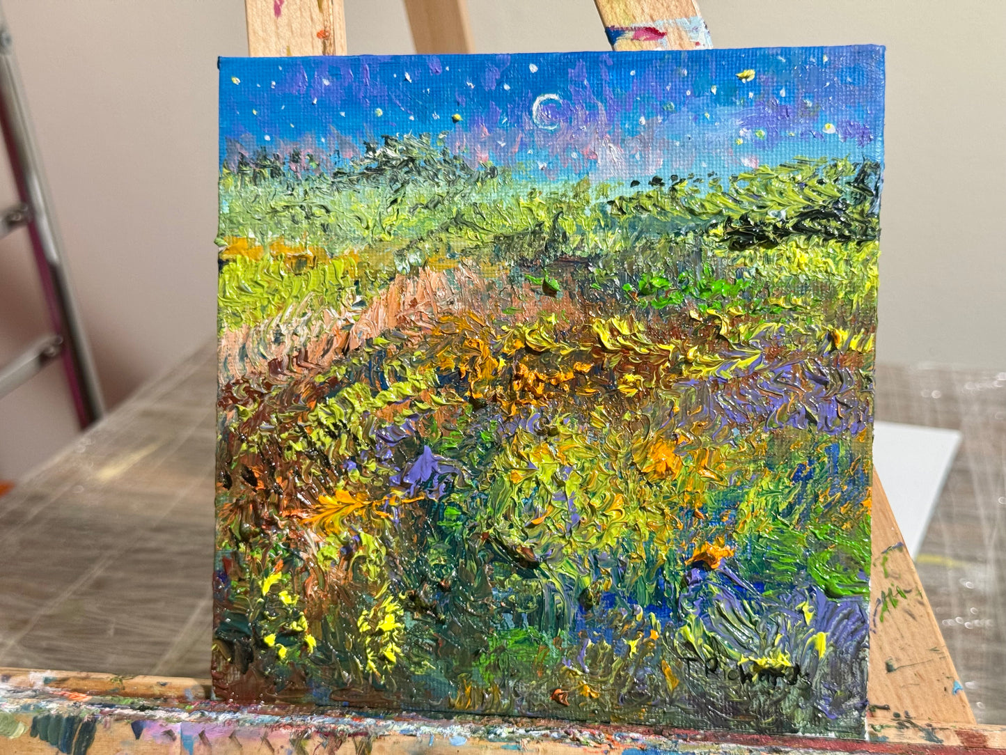 Starry Night Oil Painting, Original Art 6x6, Landscape Field Wildflower Sky Moon, Floral Sunset Wall Decor