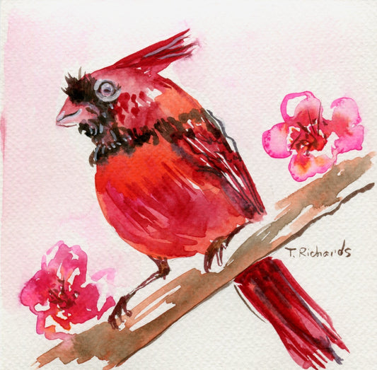 Red cardinal ORIGINAL art Watercolor painting Bird wildlife artwork Signed 6x6"
