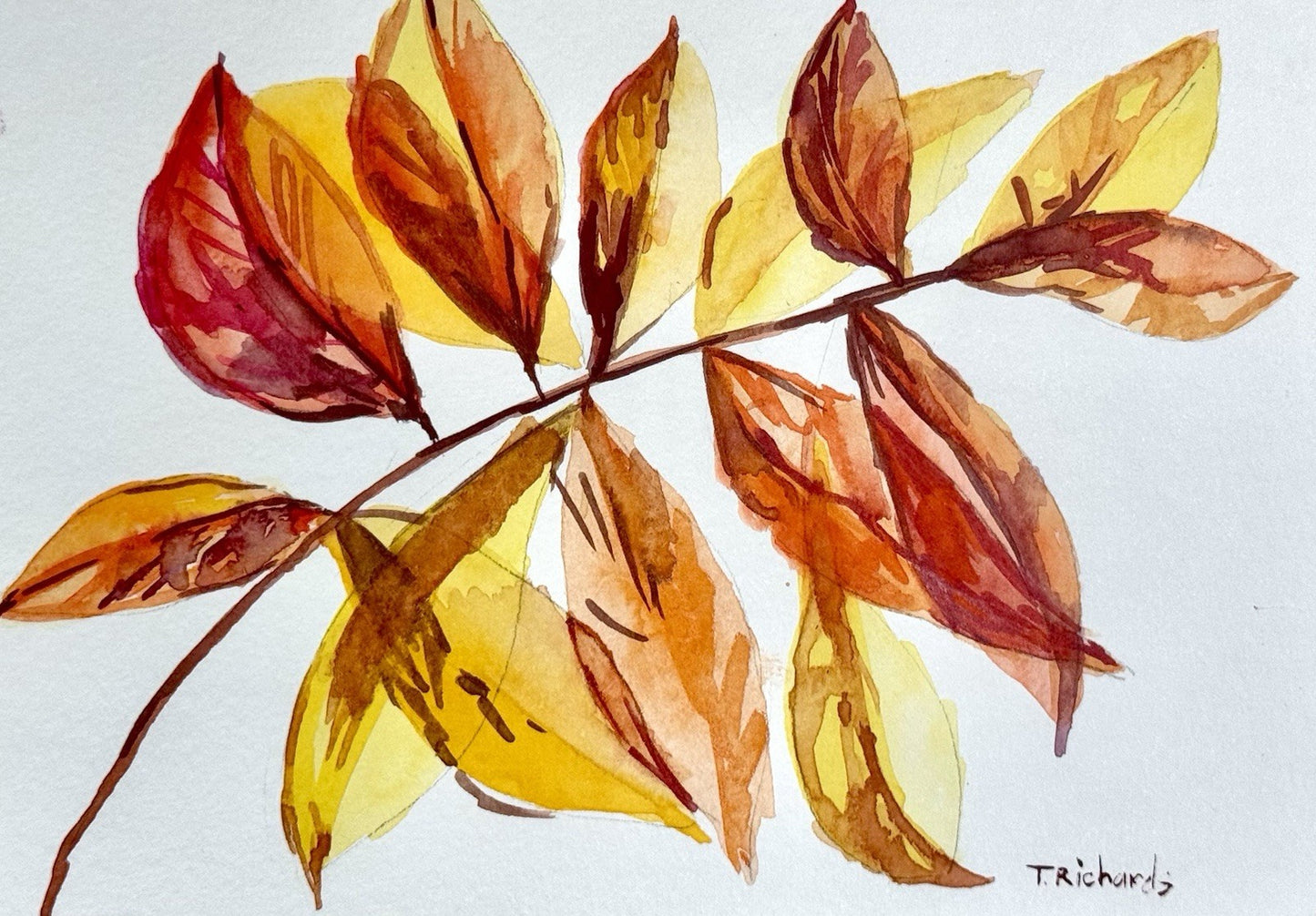 Watercolor painting ORIGINAL art Yellow Walnut Leaves Fall Autumn Signed 5x7"