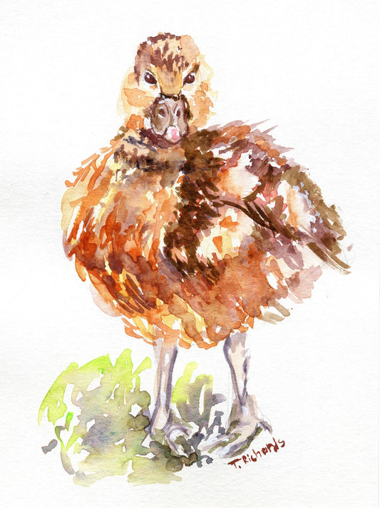 ORIGINAL Art Watercolor Painting Duckling Bird Duck Wall Art 6x8"