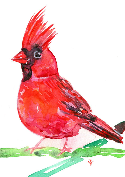 WATERCOLOR Painting ORIGINAL Art Northern Cardinal Bird Artwork wall art 5x7"