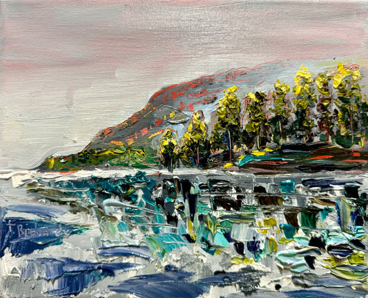 Oil painting ORIGINAL art Moody seascape morning Lake forest landscape 8x10"