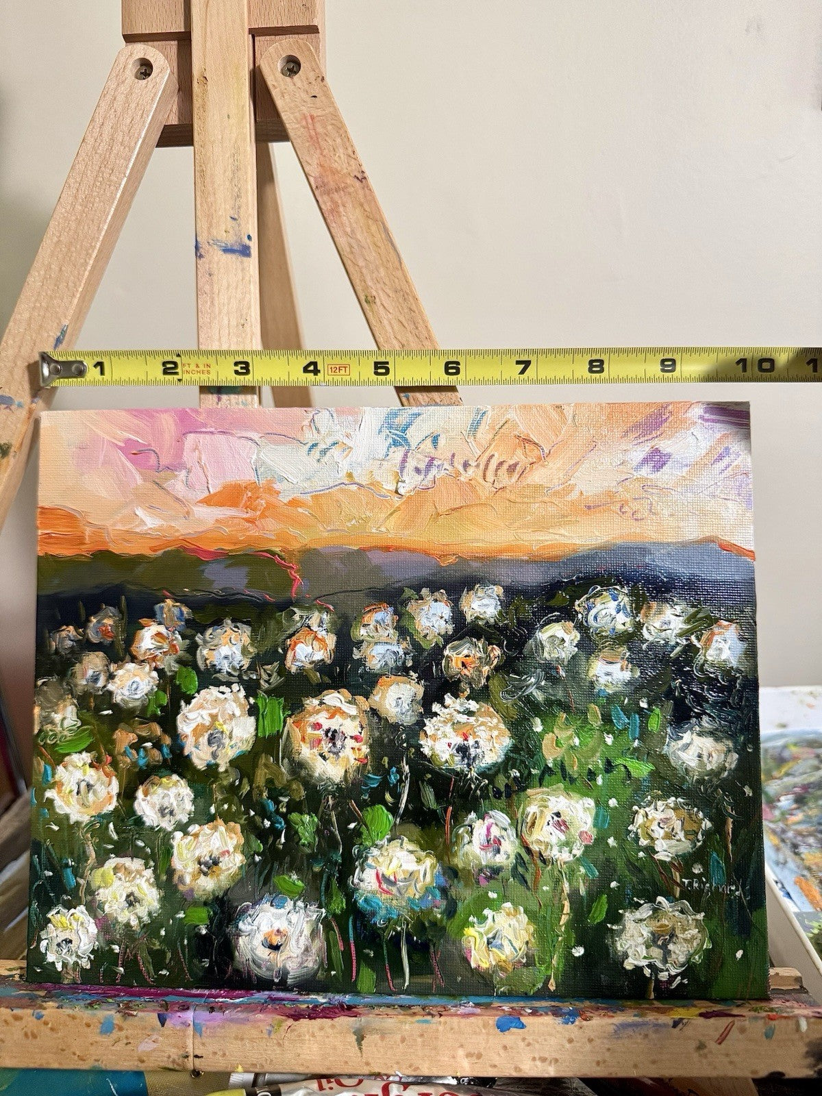 Oil painting ORIGINAL art Dandelion Wildflower Field Flower landscape 8x10