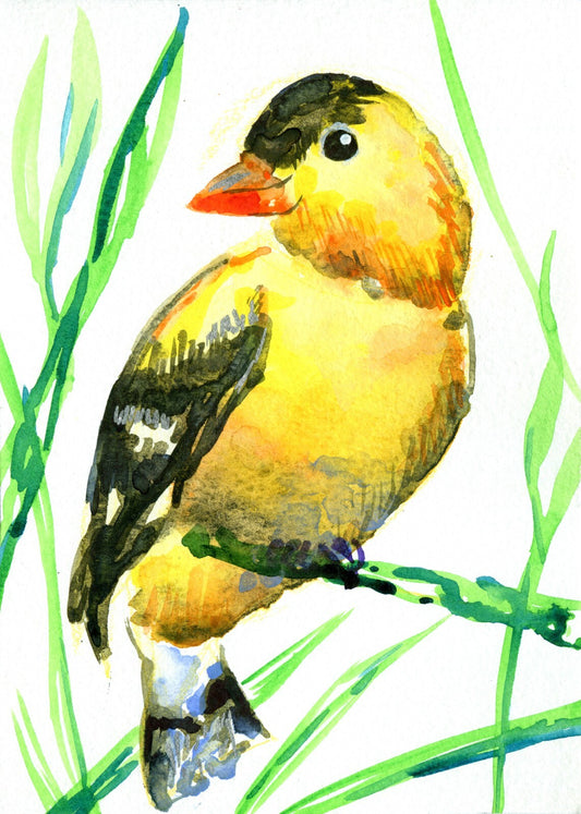 Painting WATERCOLOR ORIGINAL Art Goldfinch Bird Artwork wall art 5x7"