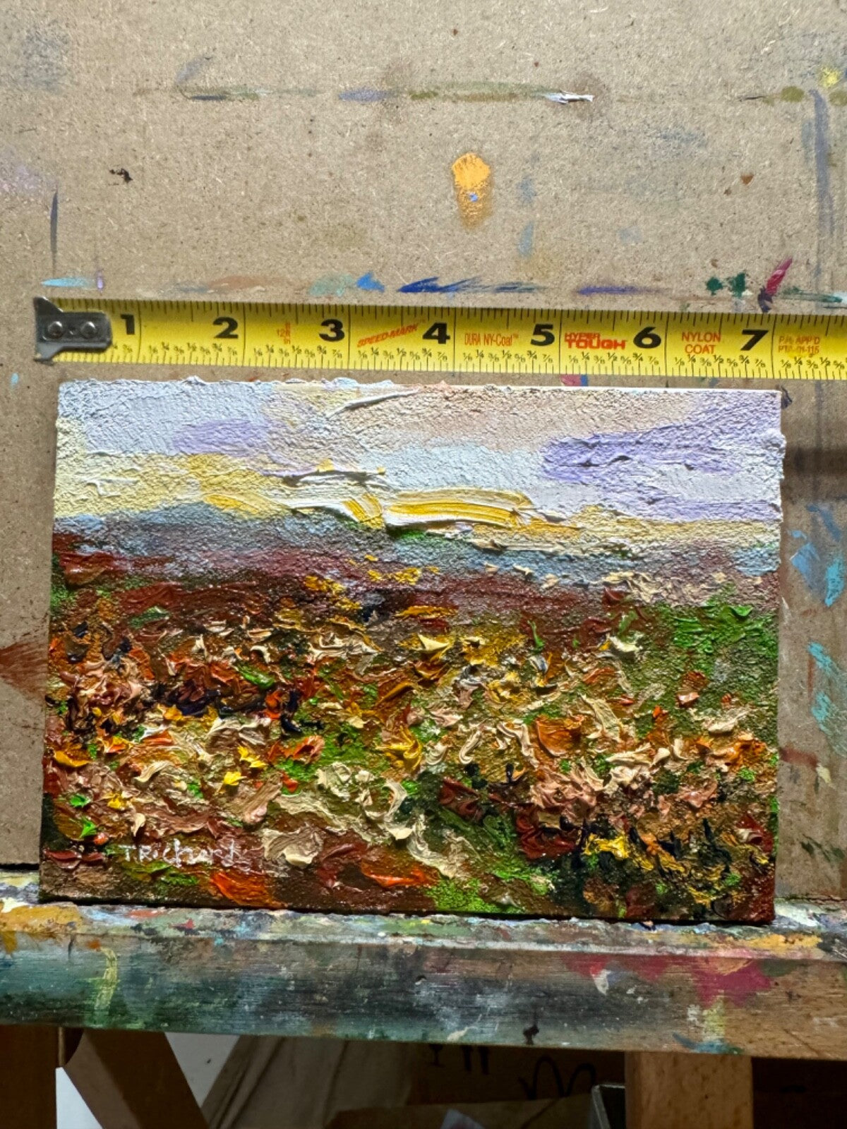 Wildflowers Oil painting ORIGINAL art Mount floral field artwork Landscape 5x7"
