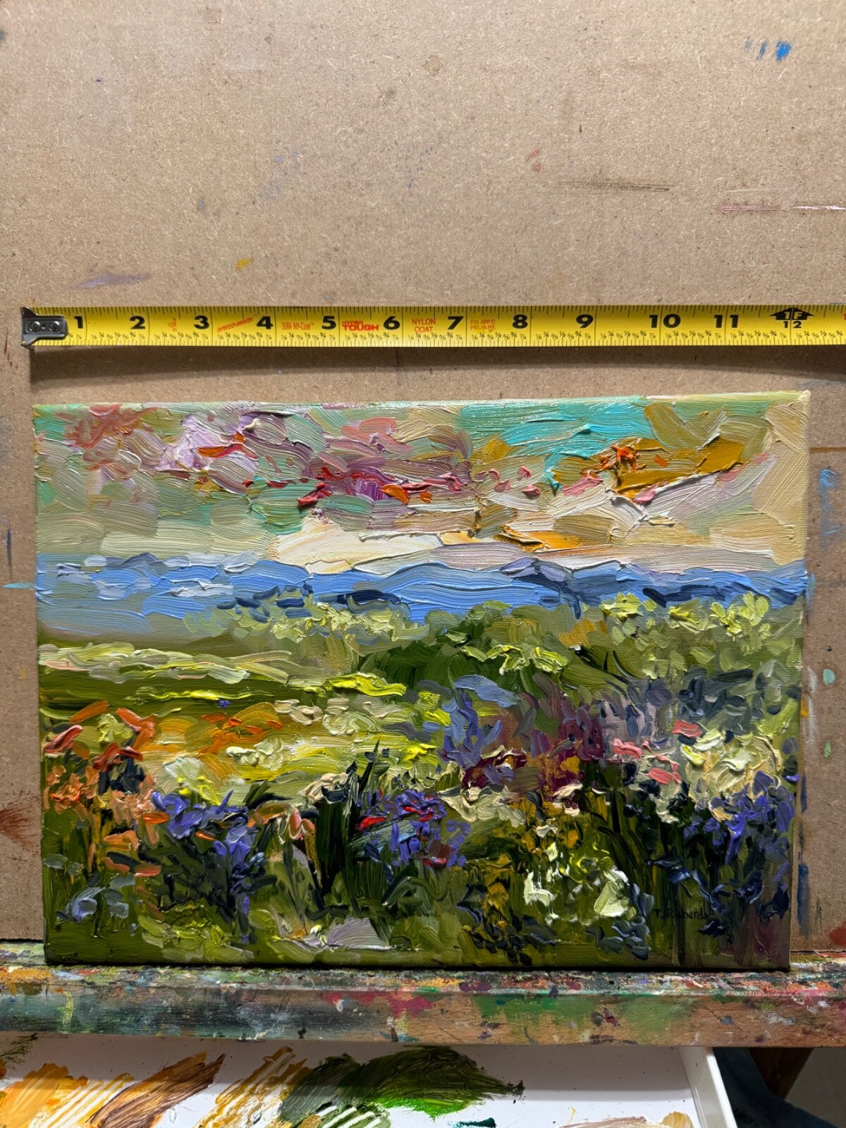 Field painting ORIGINAL art Landscape mountain artwork Floral wildflower 9x12"