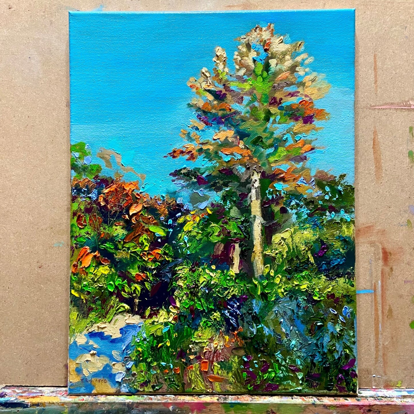 Oil painting ORIGINAL art Forest tree Goffstown Rail Trail Sky landscape 12x16”