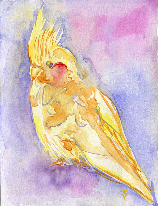 Painting WATERCOLOR ORIGINAL Art Parrot Bird Artwork Cockatiel wall art 7.6x5.8"