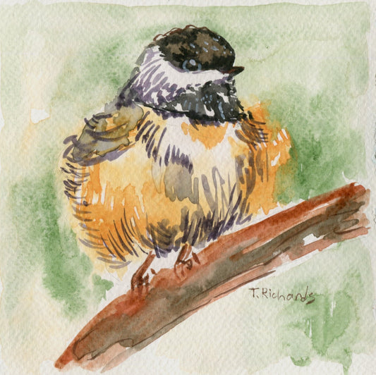 Chickadee ORIGINAL art Watercolor painting Bird wildlife artwork Signed 6x6"