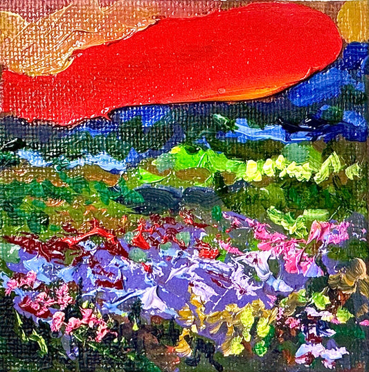 ORIGINAL oil painting Landscape artwork Meadow flower field lupine Sunset 3x3”