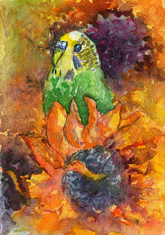 WATERCOLOR Painting ORIGINAL Art Parrot Bird Artwork Parakeet Budgie