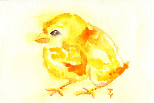 WATERCOLOR Painting ORIGINAL Art Chick Chicken Bird Artwork Small Wall Art 4x6"