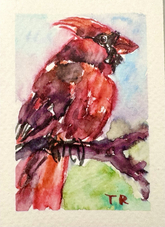 ACEO Watercolor Red Cardinal Bird ORIGINAL Art ATC Painting Miniature 2.5x3.5"