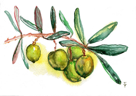 Olive branch painting ORIGINAL art Watercolor vegetable food small wall art 5x7"