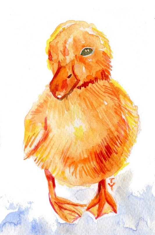 WATERCOLOR Painting ORIGINAL Art Duck Duckling Bird Artwork Small Animal 4x6"