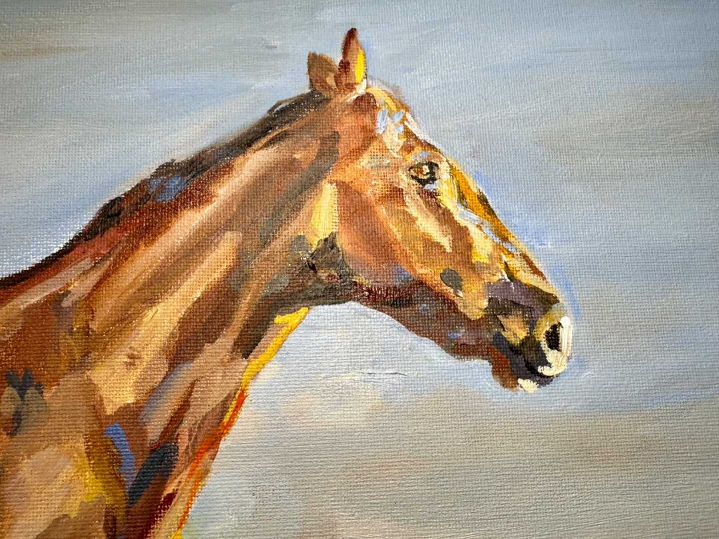 Oil painting ORIGINAL art Horse Wildflower field Mountain landscape Floral 16x20
