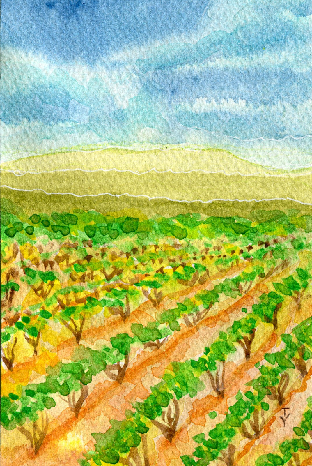 ORIGINAL art WATERCOLOR painting Vineyard landscape Tuscany small artwork 4x6"