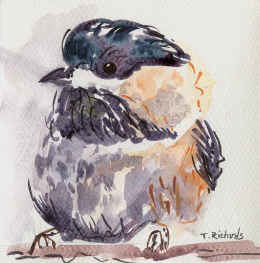 Chickadee ORIGINAL art Watercolor painting Bird wildlife artwork Signed 6x6"