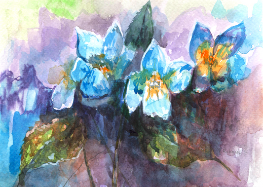 Hydrangea Watercolor Painting, Original Art, Flower Botanical Artwork, Floral 5x7, Blue Yellow Bloom