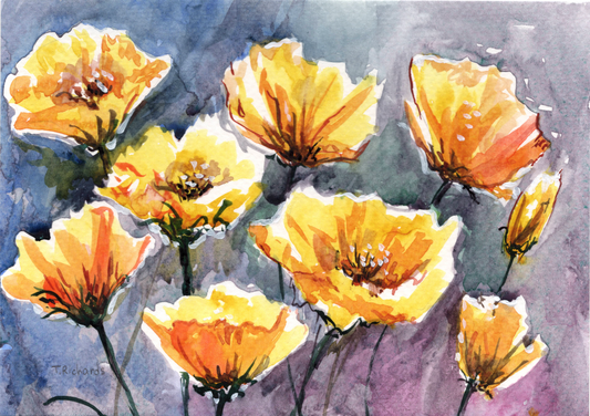 California Poppy Watercolor Painting, Original Art, Flower Botanical Artwork, Floral 5x7"