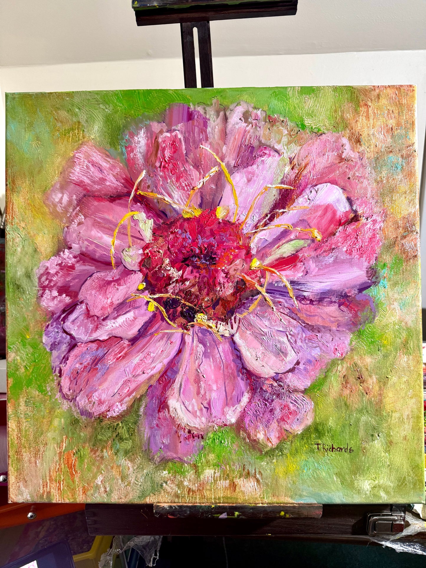 Pink Zinnia Oil Painting 20x20", Original Art Floral Wall Art, Large Flower Botanical Artwork