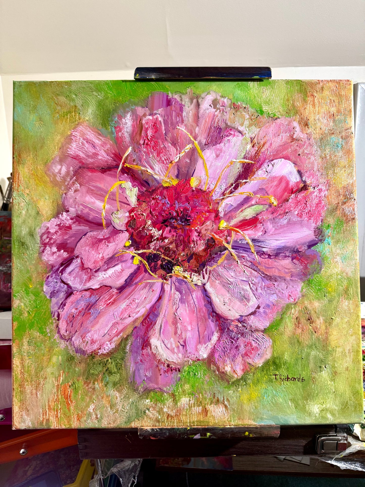 Pink Zinnia Oil Painting 20x20", Original Art Floral Wall Art, Large Flower Botanical Artwork
