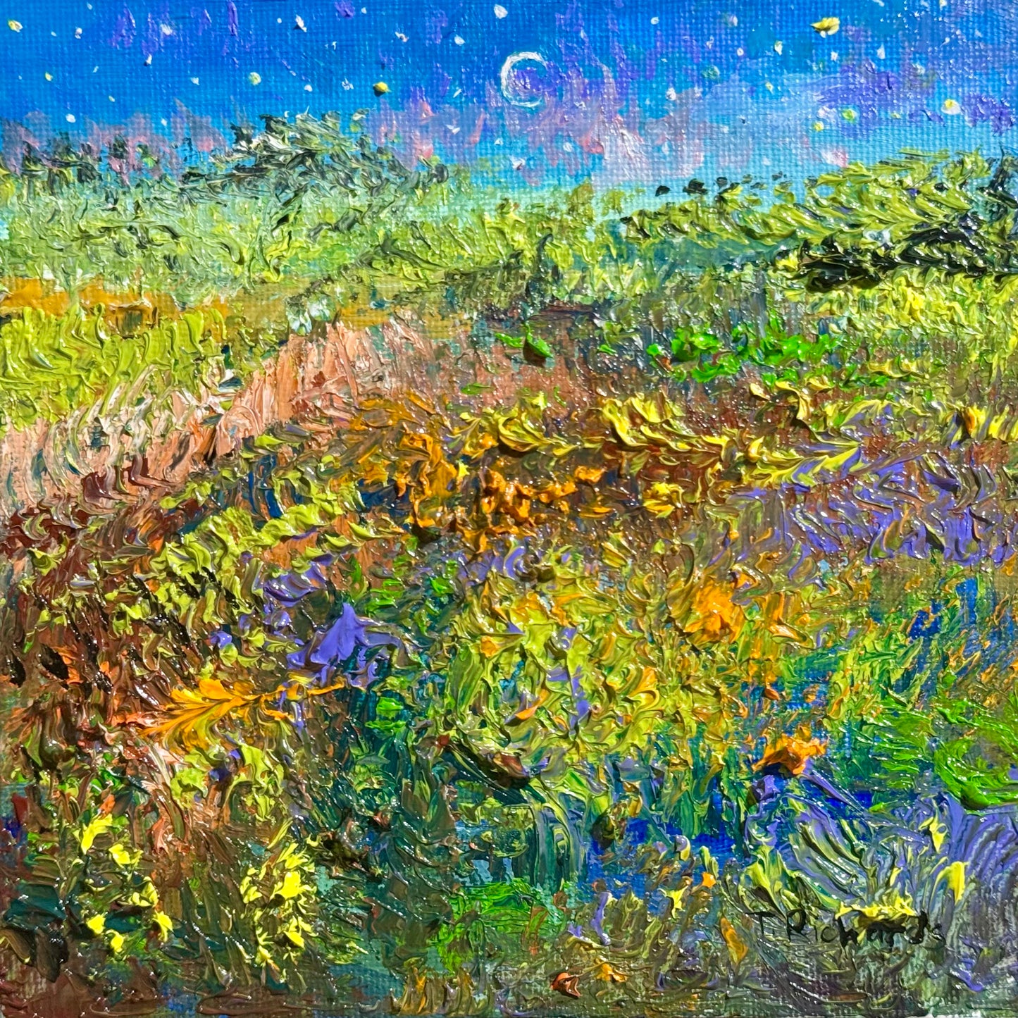 Starry Night Oil Painting, Original Art 6x6, Landscape Field Wildflower Sky Moon, Floral Sunset Wall Decor