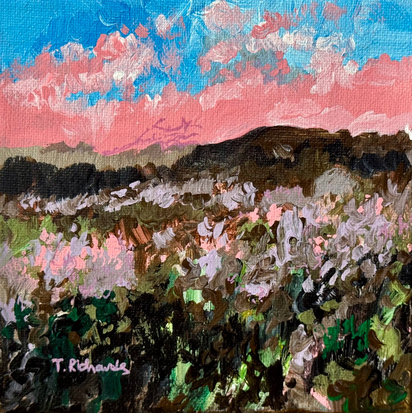 Pink Sunset Acrylic Painting 6x6, Original Art Landscape, Flower Field Wall Art, Meadow Artwork
