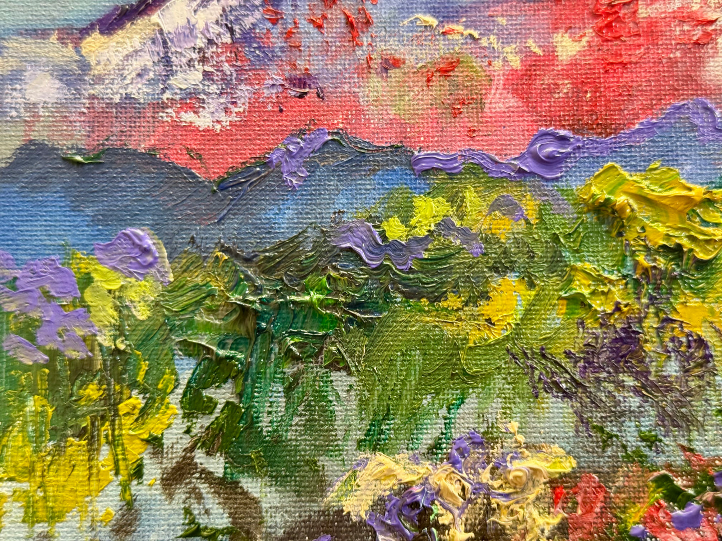 Mountain Meadow Original Art Oil Painting 16x20", Wildflower Field Landscape, Floral Nature Wall Art on Canvas