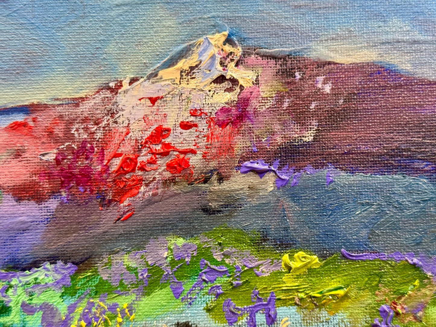 Mountain Meadow Original Art Oil Painting 16x20", Wildflower Field Landscape, Floral Nature Wall Art on Canvas
