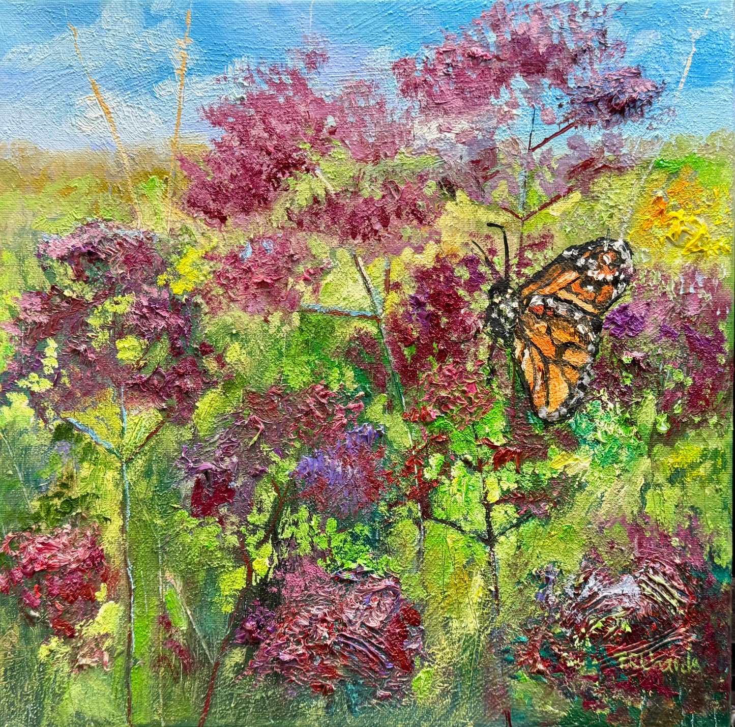Butterfly on purple flowers with a colorful background