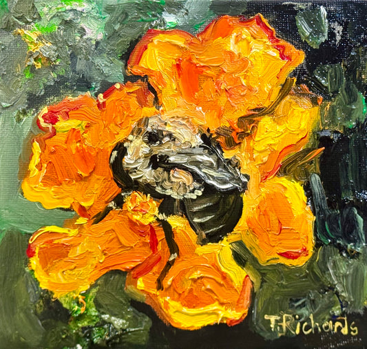 Bumblebee on Marigold Oil Painting 6x6, Original Floral Botanical Wall Art, Flower on Canvas Panel