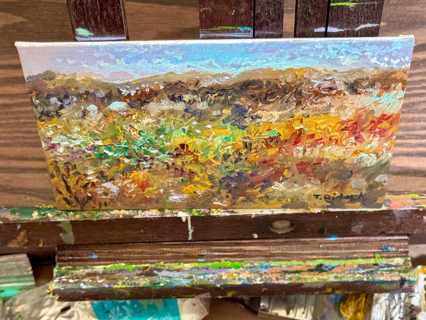 Wildflower Meadow Oil Painting 5x7, Original Art Landscape, Textured Flower Field, Nature Art